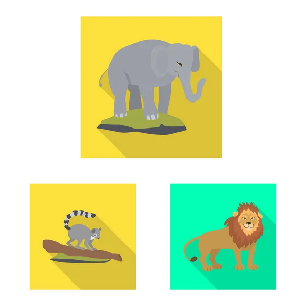 Safari ve hayvan logosu vektör illüstrasyon. Stok için safari ve eğlenceli vektör simgesi seti. — Stok Vektör