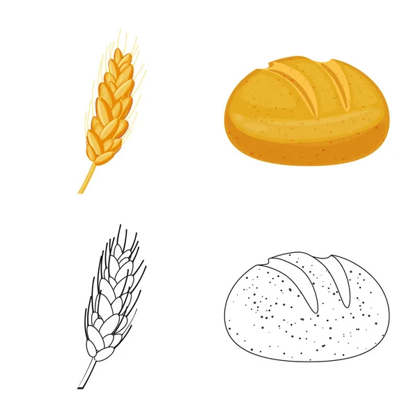 Illustrazione vettoriale dell'agricoltura e icona dell'agricoltura. Raccolta del simbolo dello stock agricolo e vegetale per il web . — Vettoriale Stock