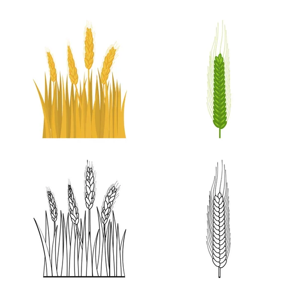 Illustration vectorielle du symbole agricole et agricole. Ensemble d'illustration vectorielle de l'agriculture et du matériel végétal . — Image vectorielle