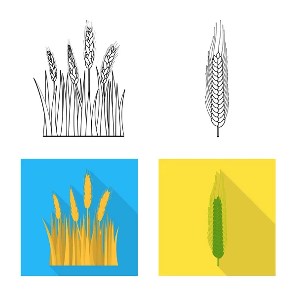 Objeto isolado da agricultura e logotipo da agricultura. Conjunto de símbolos de plantas e agricultura para web . — Vetor de Stock