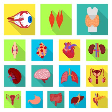 Vektör tasarımı insan ve sağlık işareti. Web için insan ve bilimsel hisse senedi simgesi kümesi.