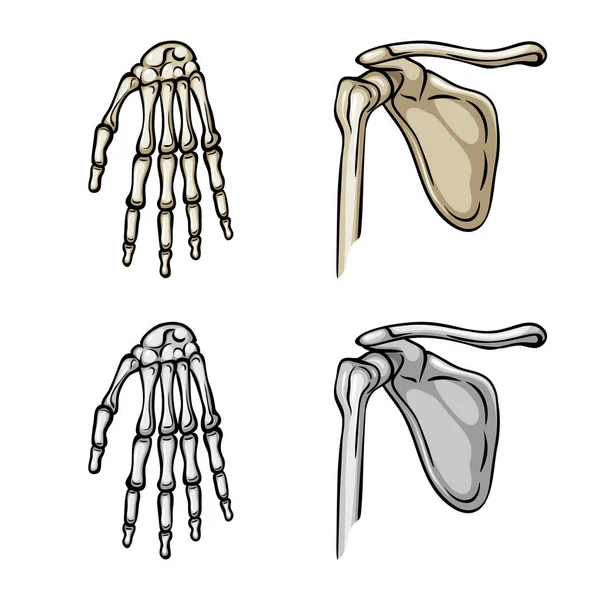 Vector ontwerp van geneeskunde en kliniek symbool. Verzameling van geneeskunde en medische voorraad vectorillustratie. — Stockvector