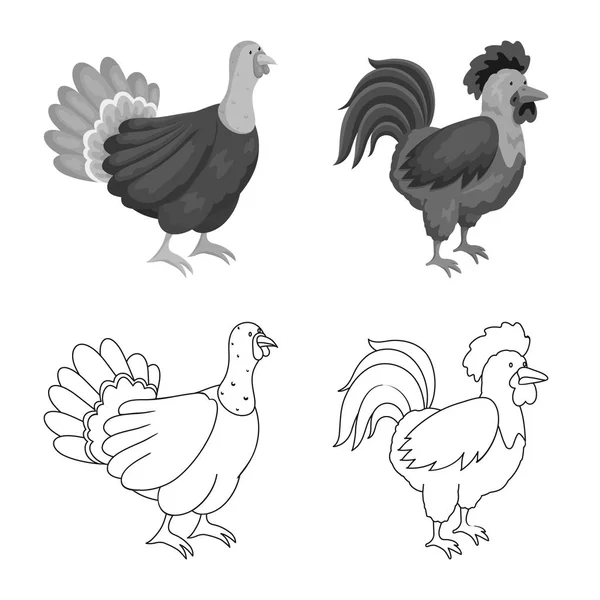 Vector design of breeding and kitchen symbol. Set of breeding and organic stock symbol for web. — Stock Vector