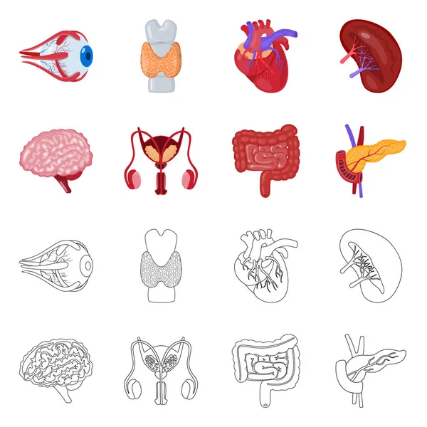 生物学、科学記号のベクター イラスト。株式の生物学研究所のベクトル アイコンのセット. — ストックベクタ