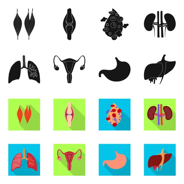 Geïsoleerde object van de biologie en wetenschappelijke symbool. Set van biologie en laboratorium aandelensymbool voor web. — Stockvector