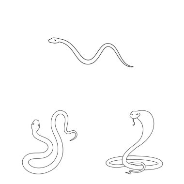 Zehir ve kötü sembolü yalıtılmış nesne. Zehir kümesi ve hisse senedi için ısırık vektör simgesi.