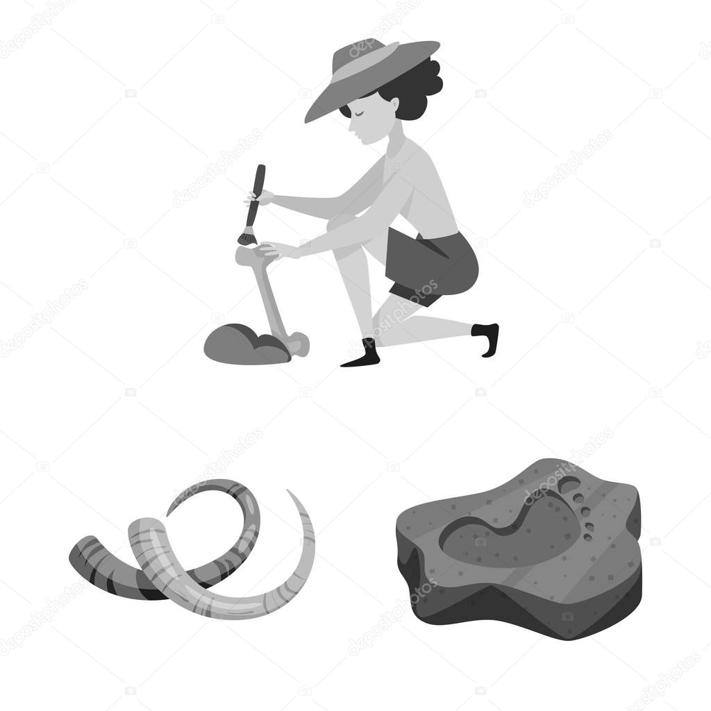 Vector illustration of story and discovery icon. Collection of story and items stock symbol for web.