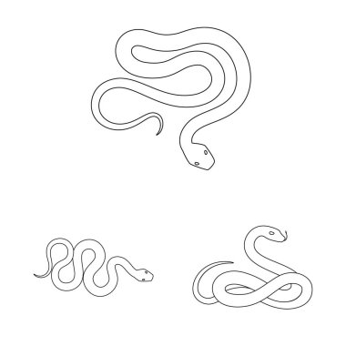 Yalıtılmış nesne bir zehir ve kötü işaret. Zehir topluluğu ve ısırık hisse senedi vektör çizim.