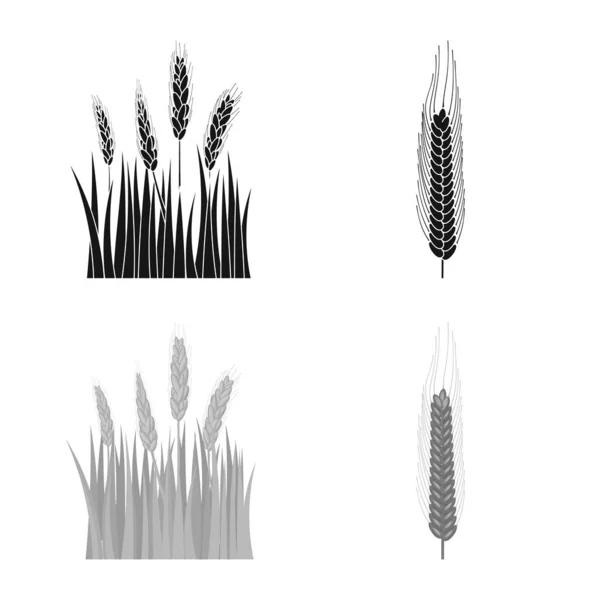 Illustrazione vettoriale del segno agricolo e agricolo. Raccolta di icone vettoriali agricole e vegetali per lo stock . — Vettoriale Stock