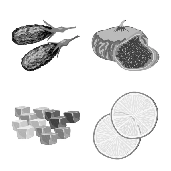 Conception vectorielle de la vitamine et l'icône de la nature. Collecte de vitamines et de bouillon séché illustration vectorielle . — Image vectorielle