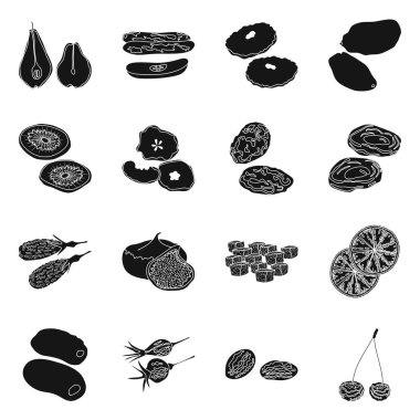 Vitamin ve doğa simgesi vektör tasarımı. Web için vitamin ve kurutulmuş stok sembolü toplama.