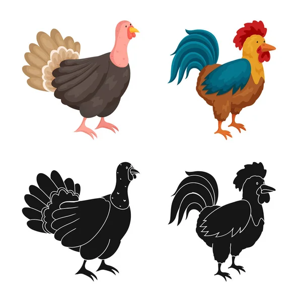 Vector illustration of breeding and kitchen symbol. Collection of breeding and organic stock vector illustration. — Stock Vector