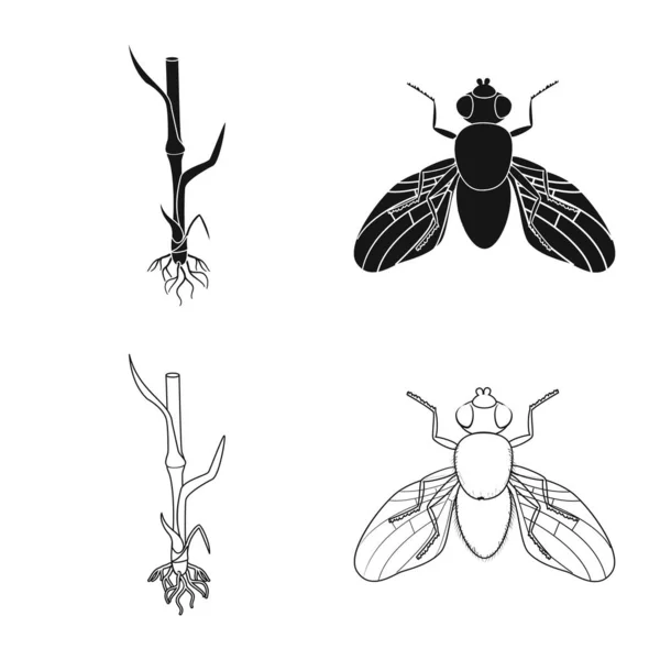 Isolierte Objekt der Landwirtschaft und Landwirtschaft Ikone. Sammlung von landwirtschaftlichen Symbolen und Pflanzenbeständen für das Web. — Stockvektor