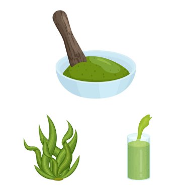 Spiulina ve yosun sembolünün vektör tasarımı. Bir dizi spirulina ve vegan stok vektör çizimi.