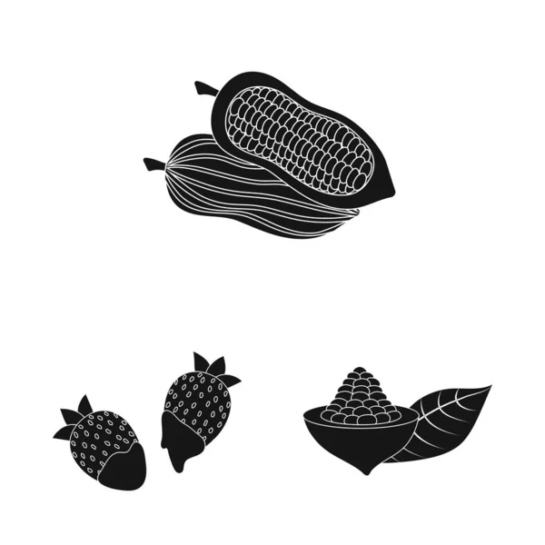 Vector ontwerp van koken en bruin pictogram. Collectie van koken en bonen voorraad vectorillustratie. — Stockvector