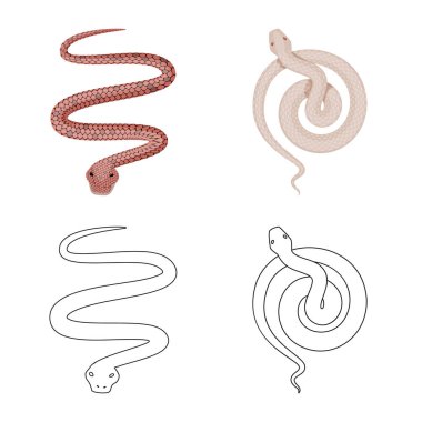 Mammal ve tehlike işareti vektör tasarımı. Memeli ve tıp hisse senedi simgesi web için kümesi.