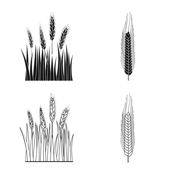 Illustrazione vettoriale dell'agricoltura e icona dell'agricoltura. Raccolta di icone vettoriali agricole e vegetali per lo stock . — Vettoriale Stock