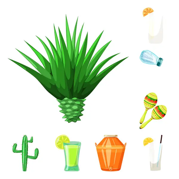 Vektor design av Mexico och tequila tecken. Uppsättning av Mexico och Fiesta aktiesymbol för rengöringsduk. — Stock vektor