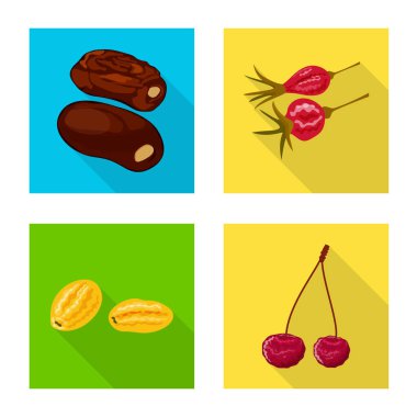 Meyve ve kurutulmuş simge vektör tasarımı. Web için meyve ve gıda stok sembolü toplama.