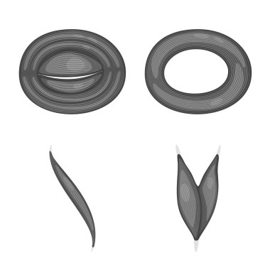 İnsan vektör çizim ve vücut logosu. Hücreleri hisse senedi vektör çizim ve insan topluluğu.