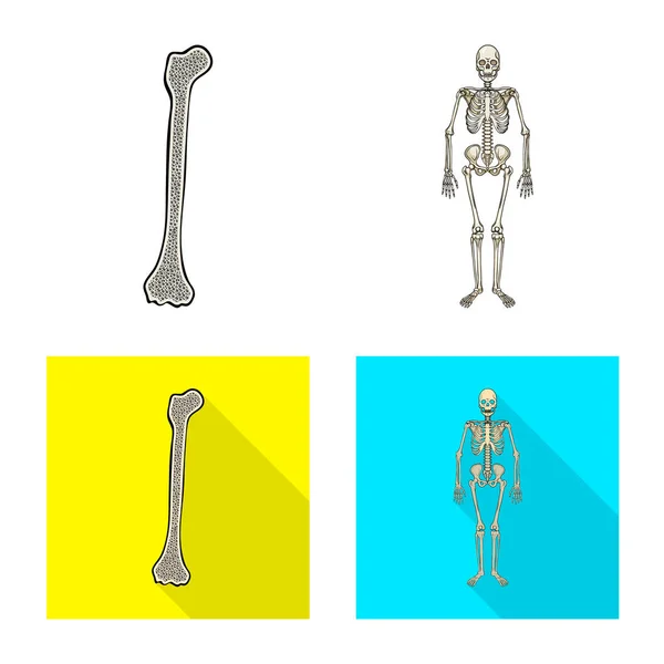 Vektorillustration av medicin och klinik symbol. Medicin och medicinsk aktiesymbol för webben. — Stock vektor