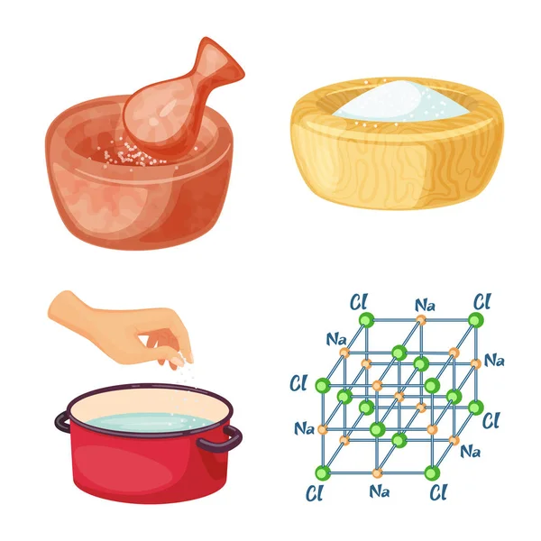 Ilustración vectorial del logotipo de la sal y los alimentos. Conjunto de sal y mineral símbolo de reserva para la web . — Vector de stock