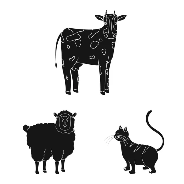 Objeto aislado de rancho e icono orgánico. Conjunto de rancho y vector de alimentos icono para stock . — Vector de stock