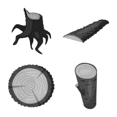 Orman ve ahşap logonun vektör çizimi. Ağ için orman ve doğa sembolü koleksiyonu.