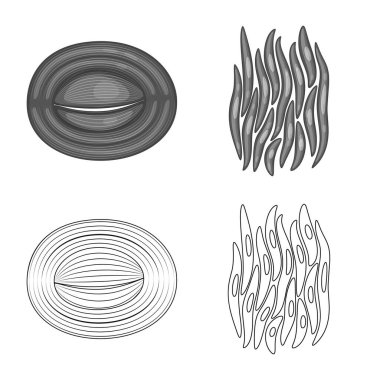 Lif ve kas logo vektör tasarımı. Lif ve vücut hisse senedi simgesi için web topluluğu.