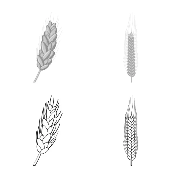 Design vettoriale dell'agricoltura e simbolo dell'agricoltura. Set di agricoltura e stock vegetale simbolo per il web . — Vettoriale Stock