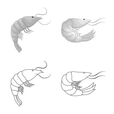 Meze ve okyanus simge vektör tasarımı. Meze dizi ve hisse senedi için incelik vektör simgesi.