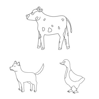 Ev yapımı ve kırsal işareti izole nesne. Stok için ev yapımı ve tarım vektör simgesi koleksiyonu.