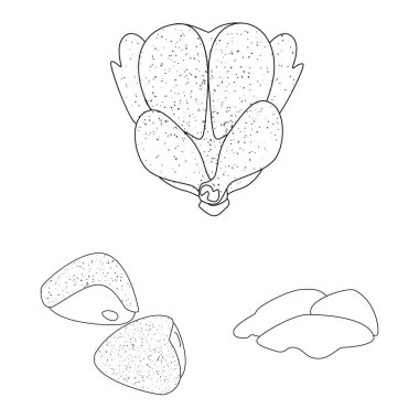 Yiyecek ve ızgara logonun vektör çizimi. Yiyecek ve kuş stoku vektör çizimi.