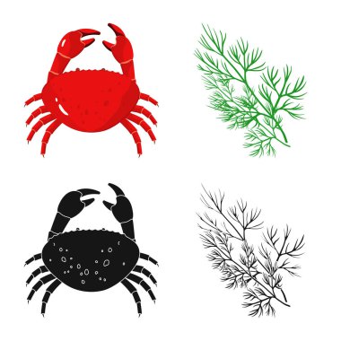 Tat ve ürün simge vektör tasarımı. Tat ve hisse senedi için pişirme vektör ikon koleksiyonu.