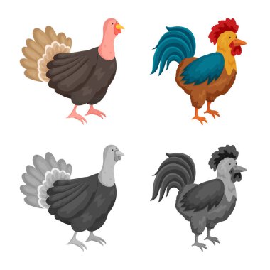 Üreme ve mutfak simge vektör Illustration. Koleksiyon ıslahının ve organik vektör hisse senedi simgesi.