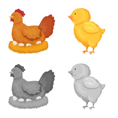 Üreme ve mutfak logo vektör tasarımı. Set ıslahının ve organik stok vektör çizim.