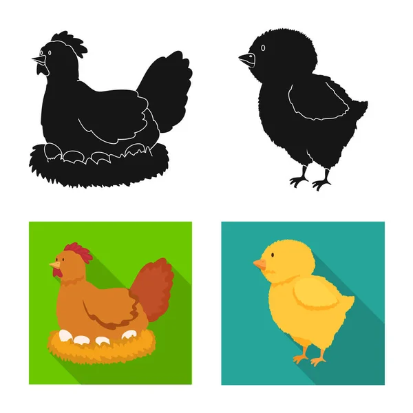 Vector design of breeding and kitchen symbol. Set of breeding and organic vector icon for stock. — Stock Vector