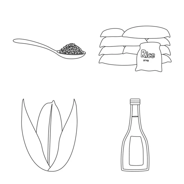 Ізольований об'єкт харчування та символ приготування їжі. Збірка дієтичних та органічних векторних значків на складі . — стоковий вектор