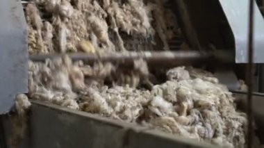 Yün yıkama ve en fazla 1 üretimi için hazırlık