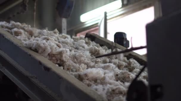 Wol wassen en voorbereiding voor de productie van tops 2 — Stockvideo