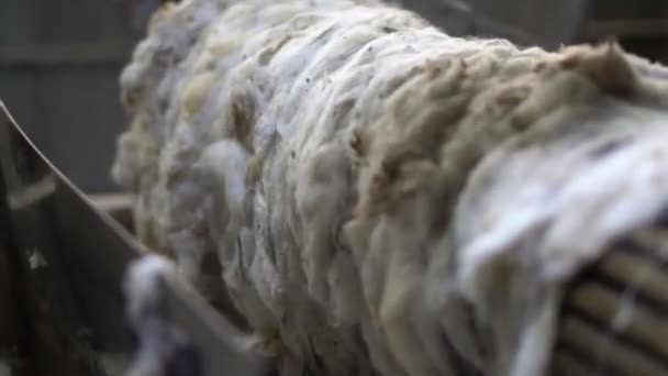 Lã de lavagem e preparação para a produção de tops 3 — Vídeo de Stock