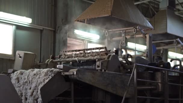 Lavagem de lã e preparação para a produção de topos 5 — Vídeo de Stock