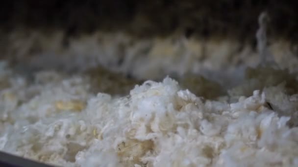 Lavagem de lã e preparação para a produção de tops 8 — Vídeo de Stock