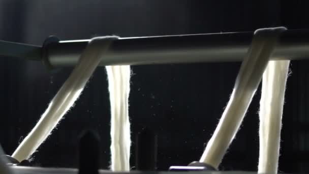 Desky-pásy vyrobené z přírodní ovčí vlny 46 — Stock video