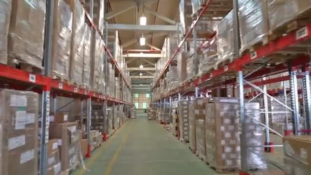 Warehouse is stored — Stock Video