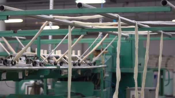 Desky-pásy vyrobené z přírodní ovčí vlny 11 — Stock video