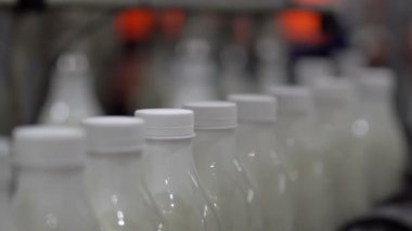 Süt Fabrikası konveyör 11