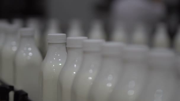 Transportador de fábrica de leche 8 — Vídeos de Stock