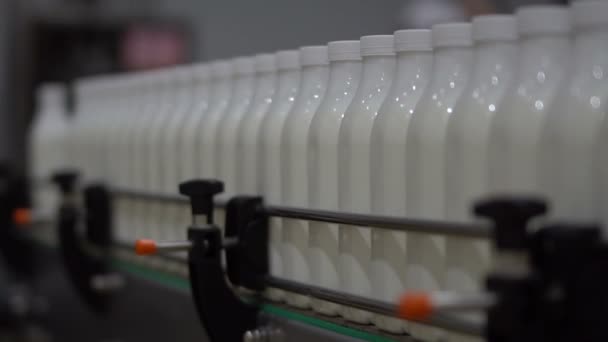 Linha Transporte Sobre Derramamento Leite Kefir Iogurte Planta — Vídeo de Stock