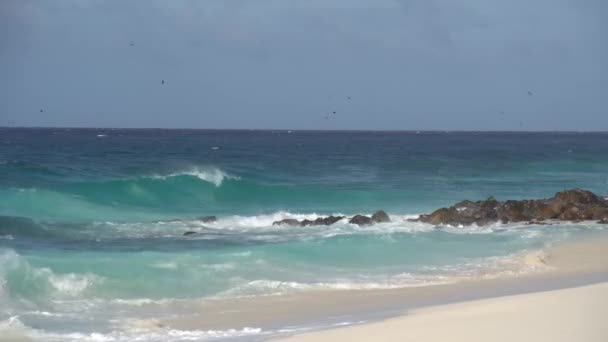 崖や海岸線に対する波の影響 13 — ストック動画